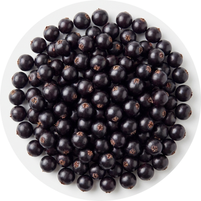 European Black Elderberry