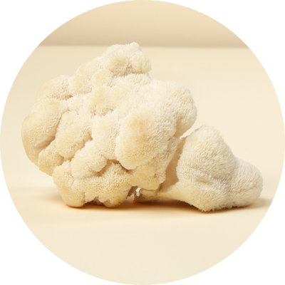 Lion's Mane