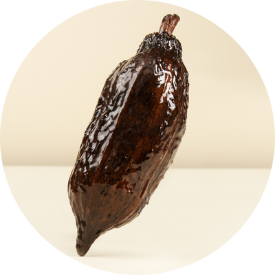 Ceremonial-Grade Chuncho Cacao
