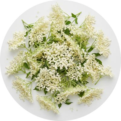 Organic Elderflower