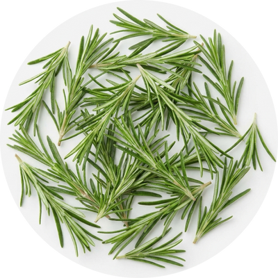 Organic Rosemary
