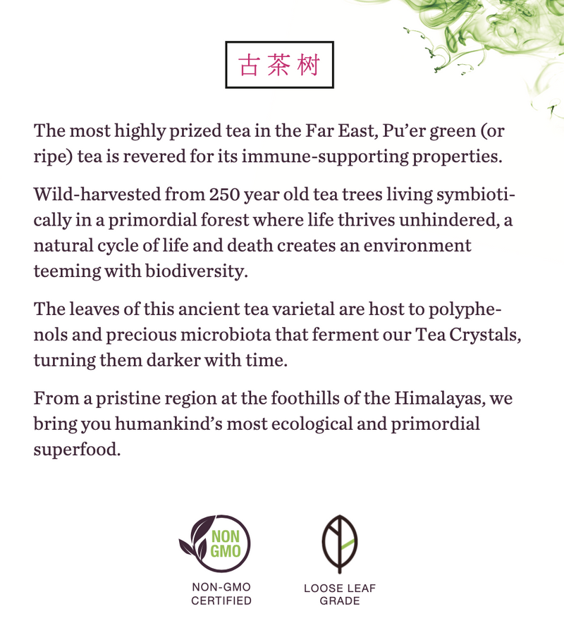 puerh-tea-green