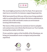Pu'er Ultimate Bundle