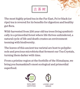 Pu'er Ultimate Bundle (Special Offer)
