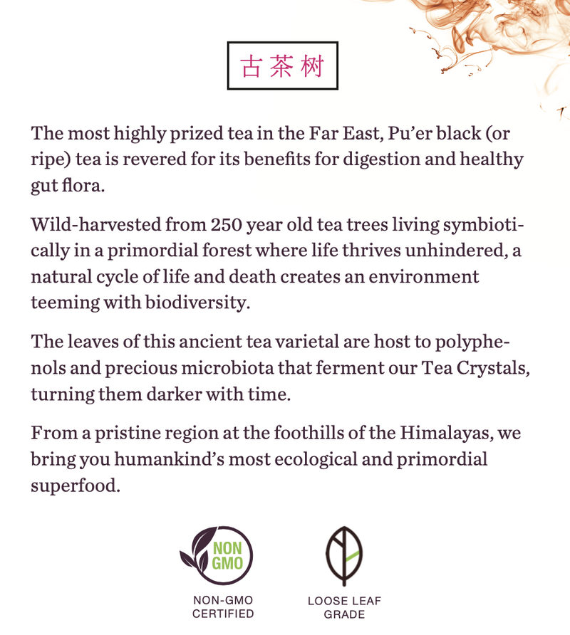 Pu'er Ultimate Bundle (Special Offer)